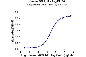 Immobilized Human FGL1, His Tag at 1 μg/mL (100 μL/well) on the plate.