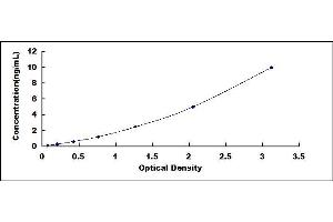 Typical standard curve (TOP2B Kit ELISA)