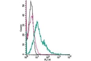 Cell surface detection of ZIP1 (SLC39A1) by indirect flow cytometry in live intact human K562 chronic myelogenous leukemia cells: (black line) Cells.