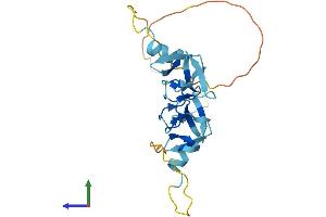 AlphaFold protein structure predicition of Human Recombinant CRIP2 Protein, UniprotID P52943