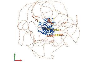 AlphaFold protein structure predicition of Mouse Recombinant Ttbk1 Protein, UniprotID Q6PCN3