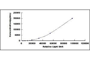 ELISA image for Lipocalin 2 (LCN2) CLIA Kit (ABIN492280)