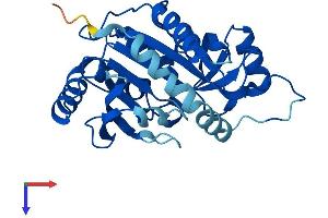 AlphaFold protein structure predicition of Mouse Recombinant Pnp Protein, UniprotID P23492