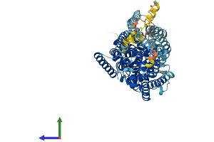 AlphaFold protein structure predicition of Human Recombinant SLC5A1 Protein, UniprotID P13866