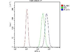 Flow Cytometry analysis of SiHa cells using anti-IFNGR1 antibody (ABIN5518850).