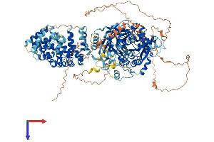 AlphaFold protein structure predicition of Human Recombinant AGTPBP1 Protein, UniprotID Q9UPW5