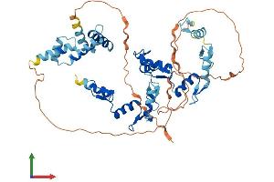 AlphaFold protein structure predicition of Human Recombinant ZSCAN22 Protein, UniprotID P10073