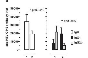 Characterization of antibody responses induced by DNA vaccines expressing particulate and non-particulate core antigens.