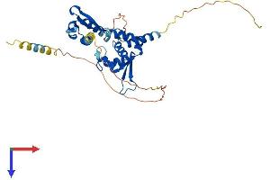 AlphaFold protein structure predicition of Human Recombinant MAGEB4 Protein, UniprotID O15481