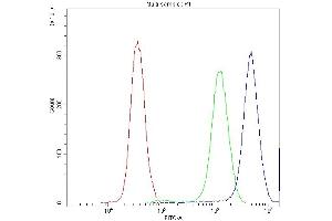 Flow Cytometry analysis of PC-3 cells using anti-Synaptotagmin 1 antibody (ABIN5692948). (SYT1 anticorps)