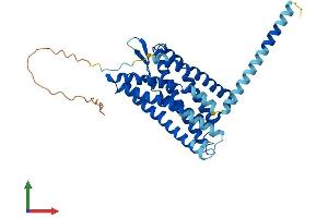 AlphaFold protein structure predicition of Mouse Recombinant P2ry1 Protein, UniprotID P49650
