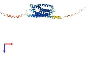 AlphaFold protein structure predicition of Mouse Recombinant Cysltr1 Protein, UniprotID Q99JA4