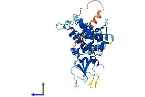 AlphaFold protein structure predicition of Mouse Recombinant Fbxo32 Protein, UniprotID Q9CPU7