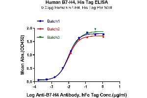 Immobilized Human B7-H4, His Tag at 0.