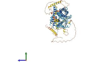 AlphaFold protein structure predicition of Mouse Recombinant Slc9a4 Protein, UniprotID Q8BUE1