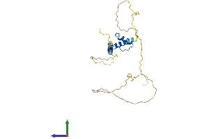 AlphaFold protein structure predicition of Mouse Recombinant Emd Protein, UniprotID O08579