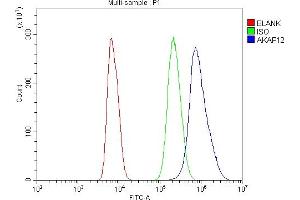 Flow Cytometry analysis of NRK cells using anti-AKAP12 antibody (ABIN7601563). (AKAP12 anticorps  (AA 387-1620))