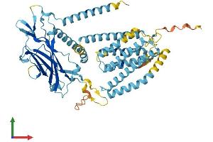 AlphaFold protein structure predicition of Mouse Recombinant Clptm1l Protein, UniprotID Q8BXA5