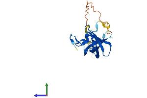 AlphaFold protein structure predicition of Mouse Recombinant Csdc2 Protein, UniprotID Q91YQ3
