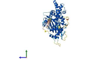 AlphaFold protein structure predicition of Mouse Recombinant Ippk Protein, UniprotID Q6P1C1