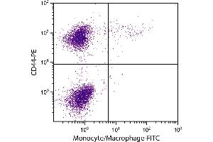 Chicken peripheral blood monocytes were stained with Mouse Anti-Chicken Monocyte/Macrophage-FITC. (Macrophage/Monocyte anticorps (FITC))