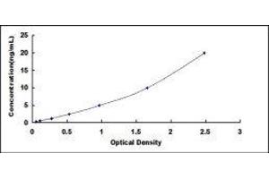 Peroxisome Proliferator-Activated Receptor alpha (PPARA) ELISA Kit