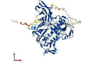 AlphaFold protein structure predicition of Human Recombinant AIFM3 Protein, UniprotID Q96NN9