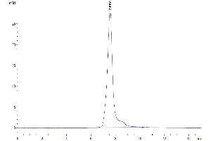 The purity of Mouse Siglec-5/CD170 is greater than 95 % as determined by SEC-HPLC.