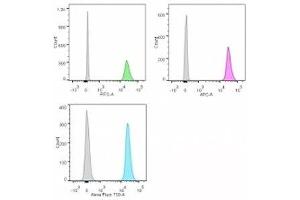 Flow cytometry of human Jurkat cells.