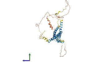AlphaFold protein structure predicition of Mouse Recombinant Tmem79 Protein, UniprotID Q9D709