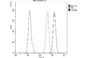 Flow Cytometry analysis of A431 cells using anti-HMGB2 antibody (ABIN4886620). (HMGB2 anticorps  (N-Term))