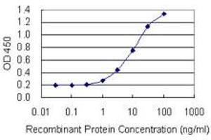 Detection limit for recombinant GST tagged TEX14 is 0.