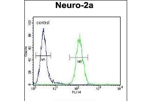 Flow cytometric analysis of Neuro-2a cells (right histogram) compared to a negative control cell (left histogram). (LCN10 anticorps  (AA 94-123))