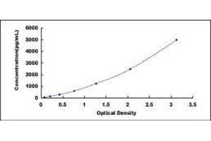 Cathepsin S (CTSS) ELISA Kit