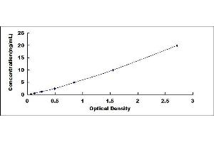 Typical standard curve (BCL11A Kit ELISA)