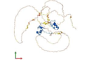 AlphaFold protein structure predicition of Mouse Recombinant Gata4 Protein, UniprotID Q08369