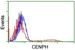 HEK293T cells transfected with either RC204531 overexpress plasmid (Red) or empty vector control plasmid (Blue) were immunostained by anti-CENPH antibody (ABIN2455250), and then analyzed by flow cytometry. (CENPH anticorps)