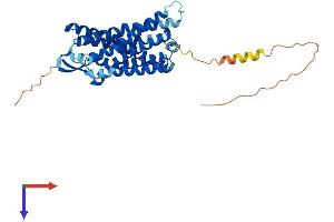 AlphaFold protein structure predicition of Human Recombinant LPAR5 Protein, UniprotID Q9H1C0