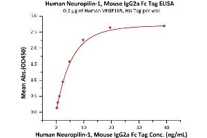 Immobilized Human VEGF165, His Tag (ABIN2181905,ABIN2181904) at 2 μg/mL (100 μL/well) can bind Human Neuropilin-1, Mouse IgG2a Fc Tag (ABIN6973172) with a linear range of 0.