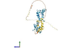 AlphaFold protein structure predicition of Mouse Recombinant Cabp4 Protein, UniprotID Q8VHC5