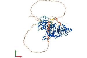 AlphaFold protein structure predicition of Mouse Recombinant Nlk Protein, UniprotID O54949