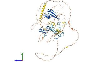 AlphaFold protein structure predicition of Mouse Recombinant Mbd1 Protein, UniprotID Q9Z2E2