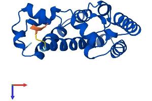 AlphaFold protein structure predicition of Human Recombinant URAD Protein, UniprotID A6NGE7