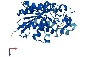 AlphaFold protein structure predicition of Mouse Recombinant Pgam2 Protein, UniprotID O70250