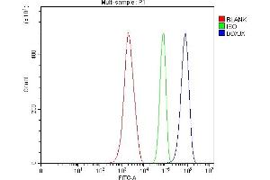 Flow Cytometry analysis of ANA-1 cells using anti-DDX3 antibody (ABIN5518905).