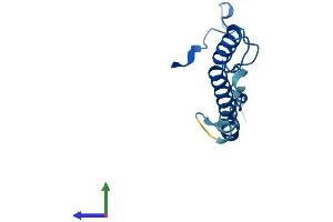 AlphaFold protein structure predicition of Human Recombinant CHCHD1 Protein, UniprotID Q96BP2