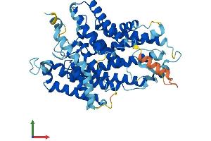 AlphaFold protein structure predicition of Mouse Recombinant Pigw Protein, UniprotID Q8C398