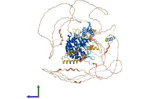 AlphaFold protein structure predicition of Mouse Recombinant Dennd2b Protein, UniprotID Q924W7