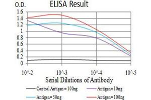 Black line: Control Antigen (100 ng);Purple line: Antigen (10ng); Blue line: Antigen (50 ng); Red line:Antigen (100 ng)