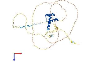 AlphaFold protein structure predicition of Mouse Recombinant Gbx2 Protein, UniprotID P48031